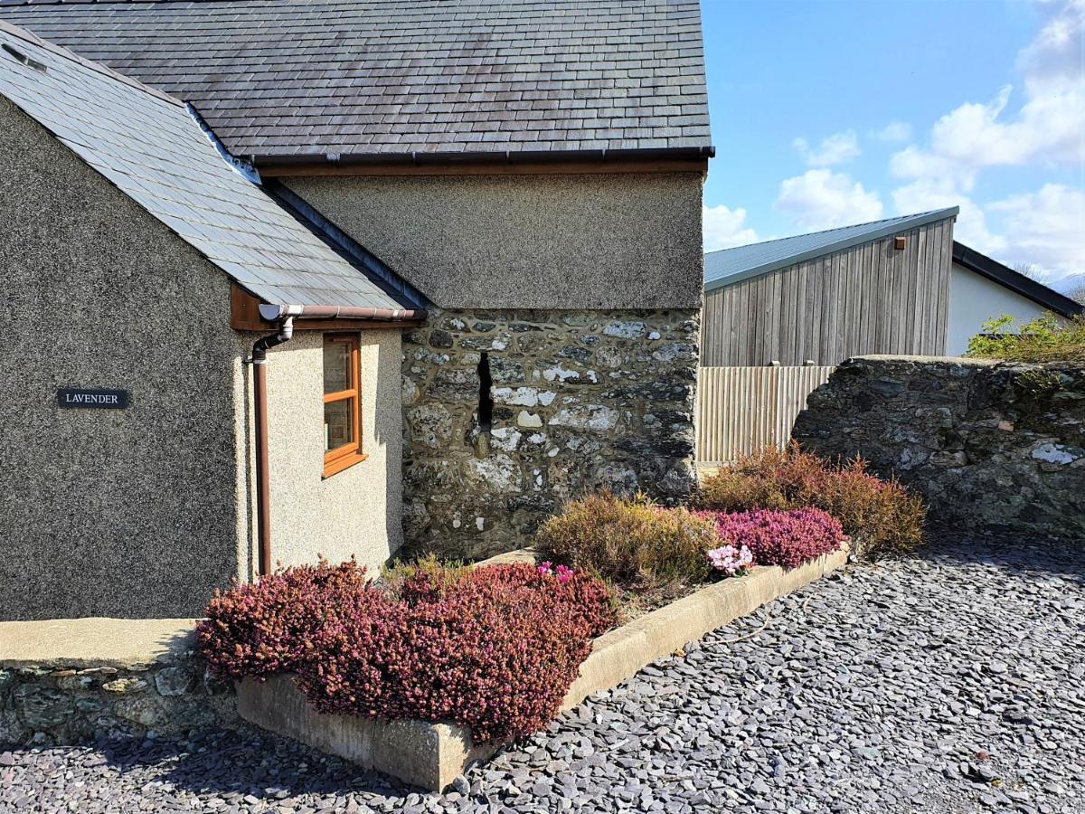 Fodol Cottages Menai Bridge Ngoại thất bức ảnh